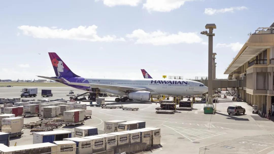 暫停所有進(jìn)出港航班！以色列爆發(fā)大規(guī)模抗議……